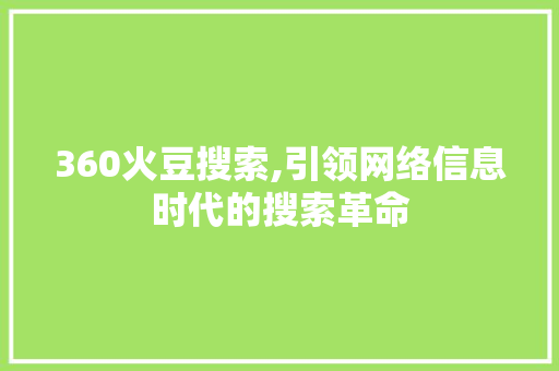 360火豆搜索,引领网络信息时代的搜索革命