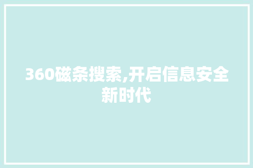 360磁条搜索,开启信息安全新时代