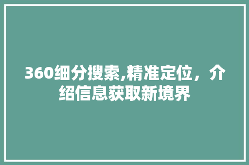 360细分搜索,精准定位，介绍信息获取新境界