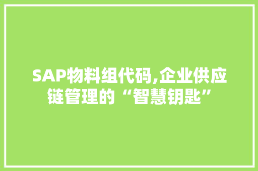 SAP物料组代码,企业供应链管理的“智慧钥匙”