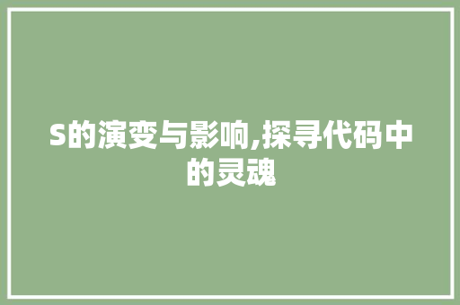 S的演变与影响,探寻代码中的灵魂