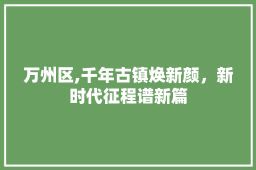万州区,千年古镇焕新颜，新时代征程谱新篇