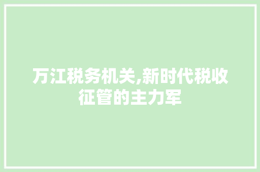 万江税务机关,新时代税收征管的主力军