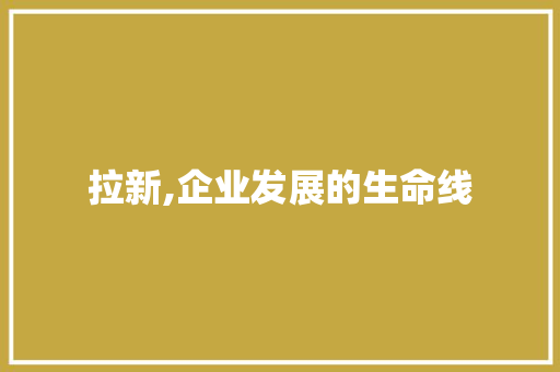 拉新,企业发展的生命线