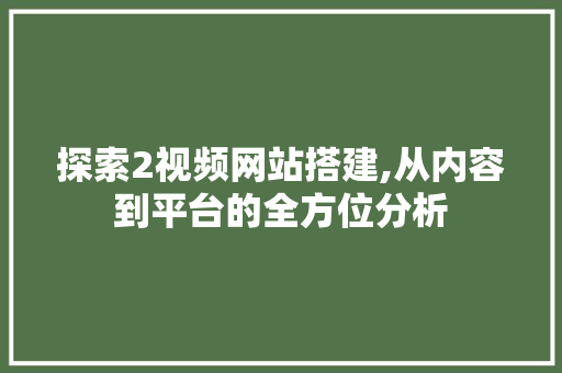 探索2视频网站搭建,从内容到平台的全方位分析