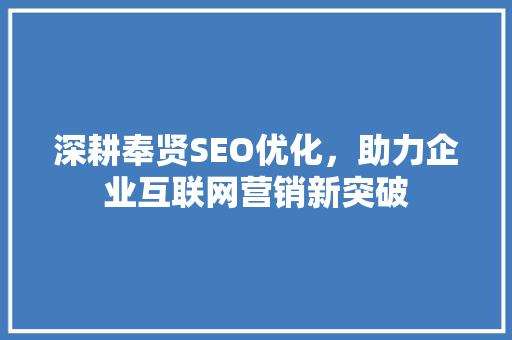 深耕奉贤SEO优化，助力企业互联网营销新突破