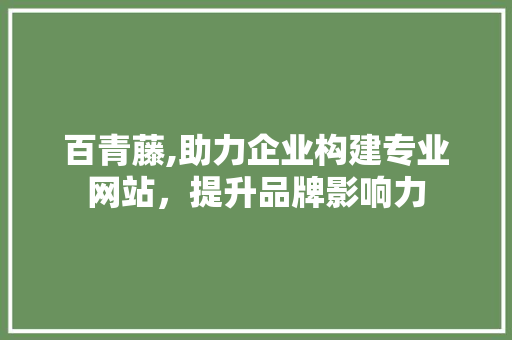 百青藤,助力企业构建专业网站，提升品牌影响力