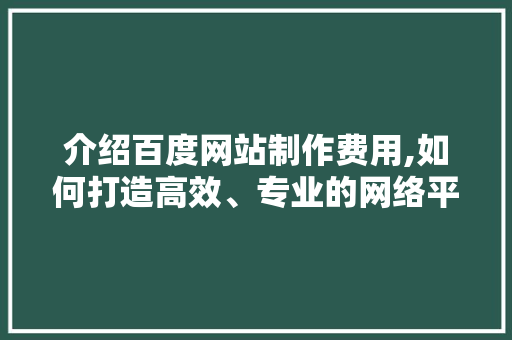 介绍百度网站制作费用,如何打造高效、专业的网络平台