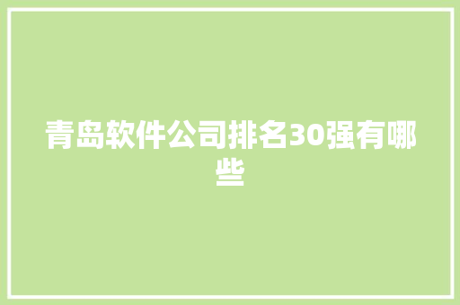 青岛软件公司排名30强有哪些