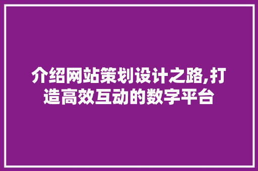 介绍网站策划设计之路,打造高效互动的数字平台