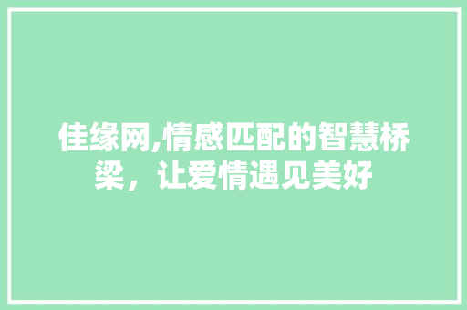 佳缘网,情感匹配的智慧桥梁，让爱情遇见美好