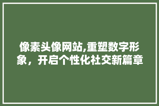 像素头像网站,重塑数字形象，开启个性化社交新篇章