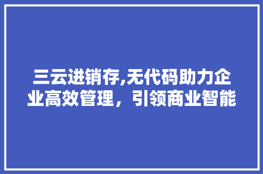 三云进销存,无代码助力企业高效管理，引领商业智能化新潮流