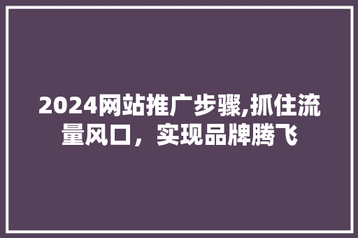 2024网站推广步骤,抓住流量风口，实现品牌腾飞