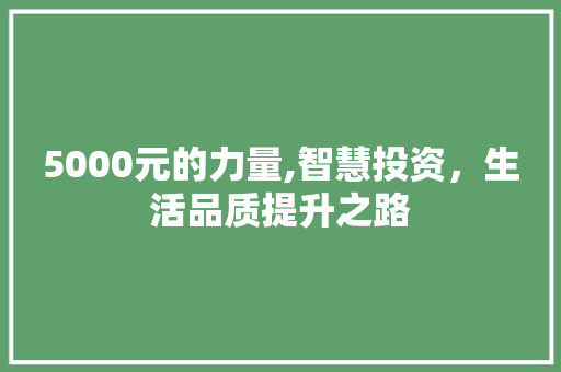 5000元的力量,智慧投资，生活品质提升之路