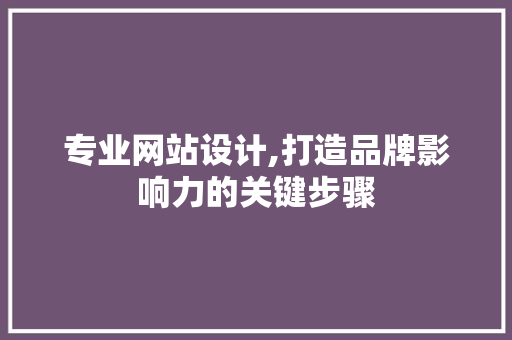 专业网站设计,打造品牌影响力的关键步骤