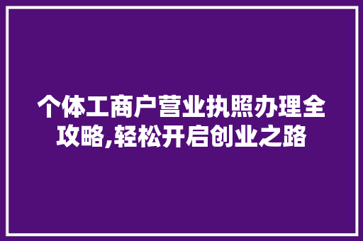 个体工商户营业执照办理全攻略,轻松开启创业之路
