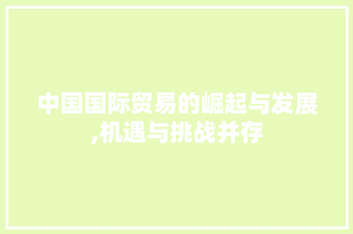 中国国际贸易的崛起与发展,机遇与挑战并存