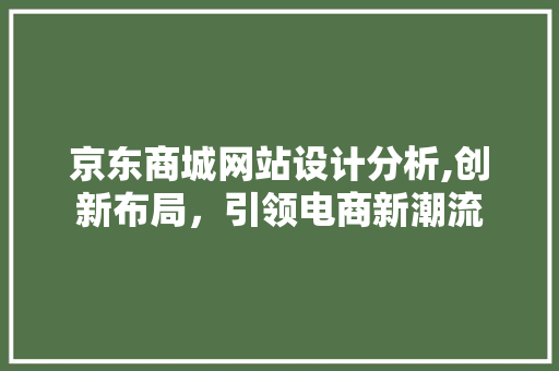 京东商城网站设计分析,创新布局，引领电商新潮流