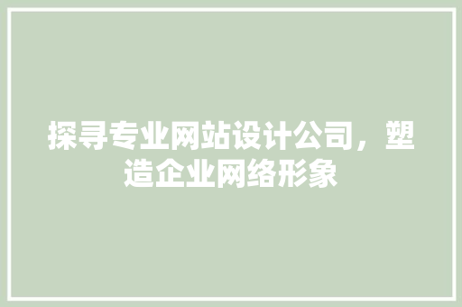 探寻专业网站设计公司，塑造企业网络形象