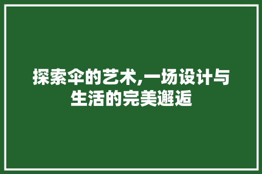 探索伞的艺术,一场设计与生活的完美邂逅