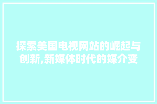 探索美国电视网站的崛起与创新,新媒体时代的媒介变革
