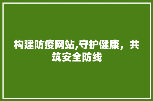 构建防疫网站,守护健康，共筑安全防线