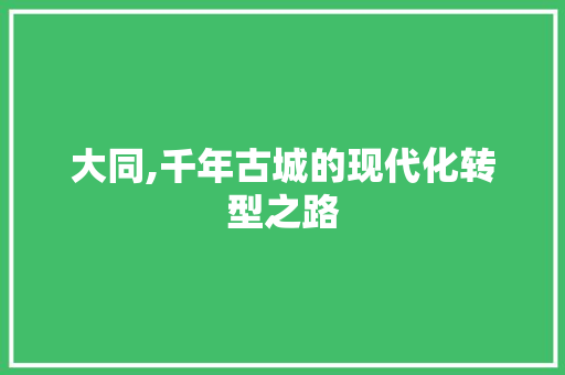 大同,千年古城的现代化转型之路
