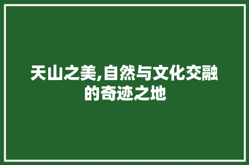 天山之美,自然与文化交融的奇迹之地