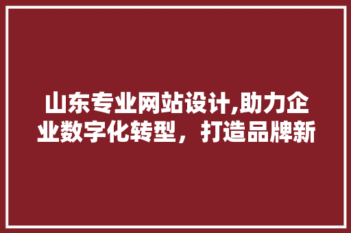山东专业网站设计,助力企业数字化转型，打造品牌新形象