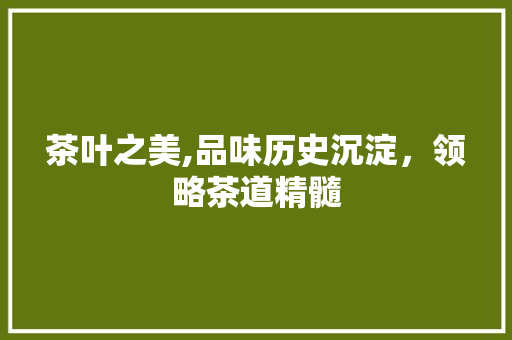 茶叶之美,品味历史沉淀，领略茶道精髓