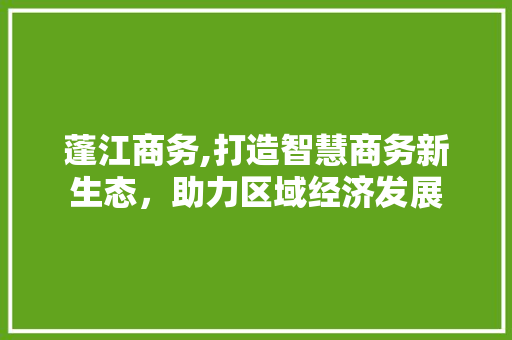 蓬江商务,打造智慧商务新生态，助力区域经济发展
