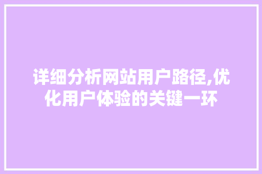 详细分析网站用户路径,优化用户体验的关键一环