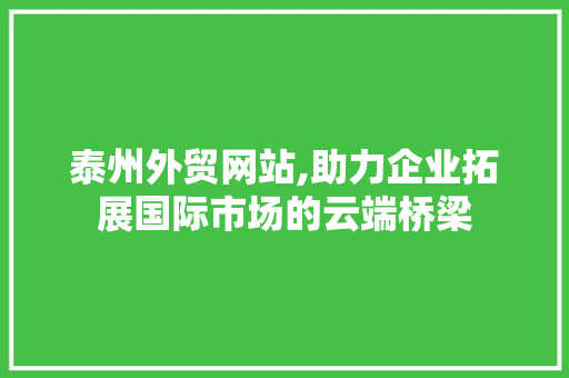 泰州外贸网站,助力企业拓展国际市场的云端桥梁