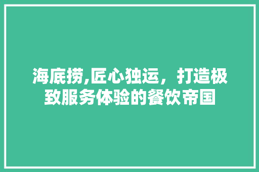 海底捞,匠心独运，打造极致服务体验的餐饮帝国