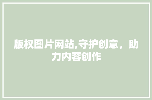 版权图片网站,守护创意，助力内容创作