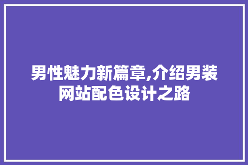 男性魅力新篇章,介绍男装网站配色设计之路