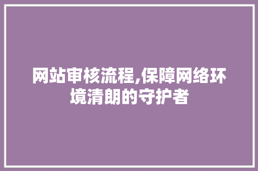 网站审核流程,保障网络环境清朗的守护者
