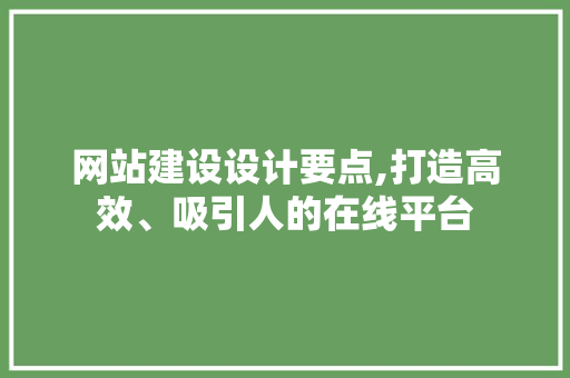 网站建设设计要点,打造高效、吸引人的在线平台