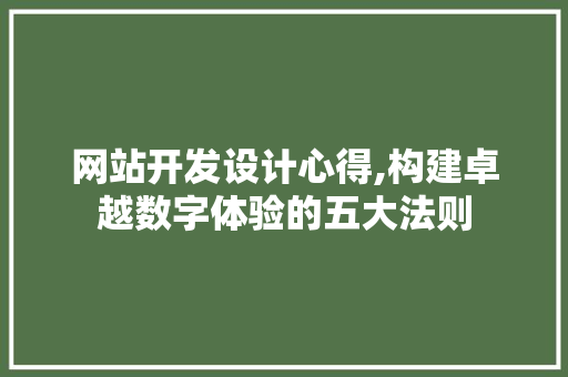 网站开发设计心得,构建卓越数字体验的五大法则