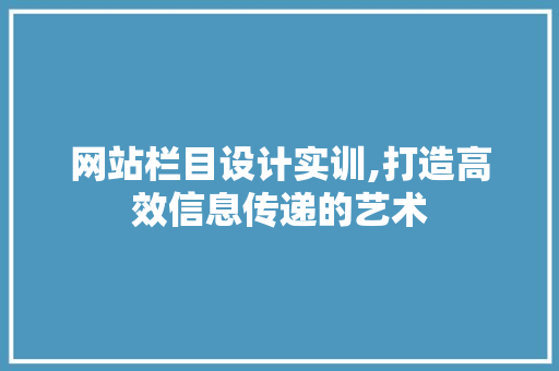 网站栏目设计实训,打造高效信息传递的艺术