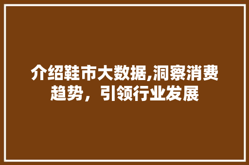 介绍鞋市大数据,洞察消费趋势，引领行业发展