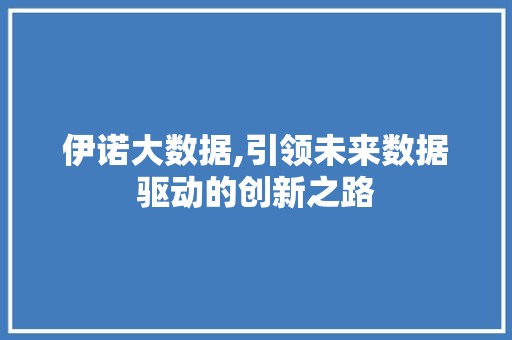 伊诺大数据,引领未来数据驱动的创新之路