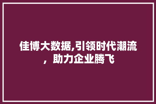 佳博大数据,引领时代潮流，助力企业腾飞