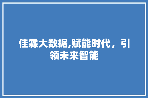 佳霖大数据,赋能时代，引领未来智能
