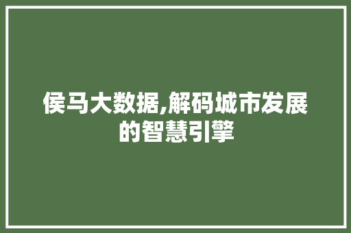 侯马大数据,解码城市发展的智慧引擎