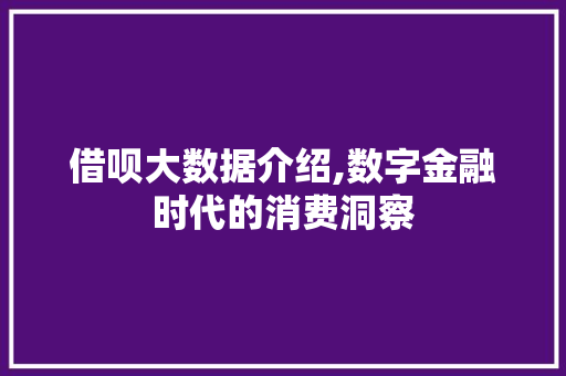 借呗大数据介绍,数字金融时代的消费洞察