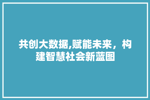 共创大数据,赋能未来，构建智慧社会新蓝图