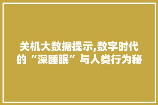关机大数据提示,数字时代的“深睡眠”与人类行为秘密