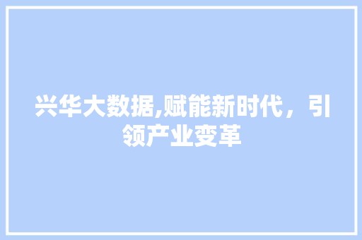 兴华大数据,赋能新时代，引领产业变革